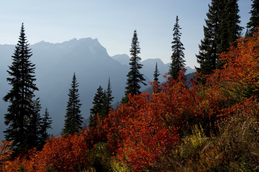 Paysage alpin majestueux